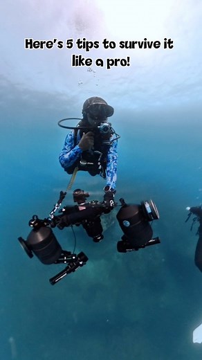 When you hit deco stop but still wanna look cool 😎 5 tips to survive your deco like a pro diver: 1️⃣ Shake your head — it’s never your fault. 2️⃣ Start early, so you don’t make others wait. 3️⃣ Do ring bubbles or underwater TikTok dance. 4️⃣ Don’t hang too close to the reef… or you’ll end up in coral jail. 5️⃣ And most important — don’t rush up! Deco time = chill time. Because bubbles are fun... But bends are not. 😏 #scubadiving #decompressionstop #divelife #funnydivers #scubajokes #decosquad 