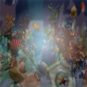 Dora The Explorer S04E02 Dora's First Trip