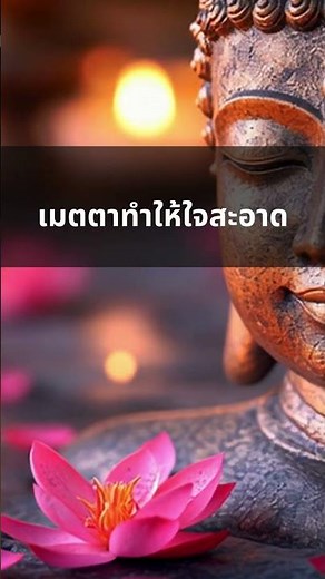 Kindness purifies the heart | Dhamma before bed