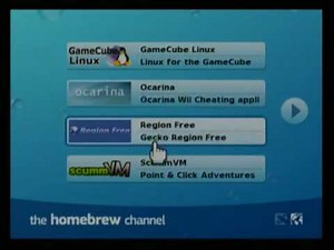 Why homebrew channel have problem ???!!!