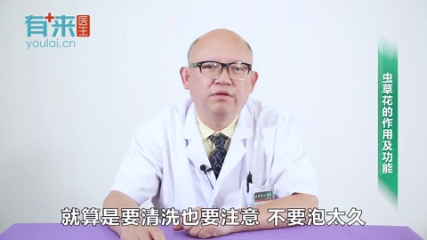 虫草花的作用及功能