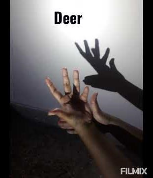 Shadow puppets | Hand shadow animals | Simple Shadow art for kids