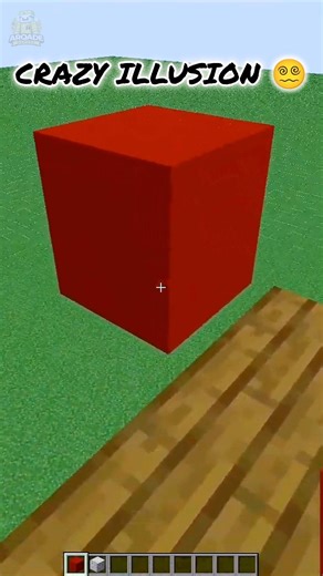 This Minecraft Illusion Will Mess With Your Brain 😳