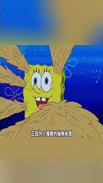 痞老闆發明糊節把比奇堡弄得亂七八糟，結果被衛生管理員罰了10億罰金，最後海把自己吃成了大胖子的慘痛代價！#搞笑 #動漫#spongebob #shorts