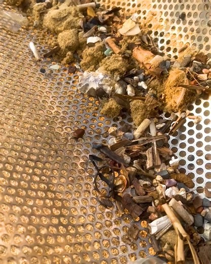 483K views · 131 reactions | This Way Of Filtering Beach Sand To Find Out Garbage is Insane! | Salsa Music | Facebook