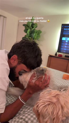 Caring for Foster Dogs: A Heartwarming Journey