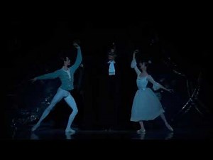 NUTCRACKER - White Pas de Deux (Renata Shakirova & David Zaleyev - Mariinsky Ballet)