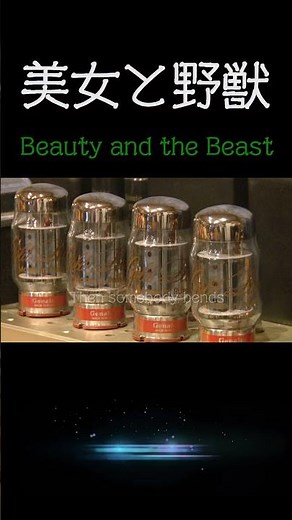 【美女と野獣 】Beauty and the Beast セリーヌ・ディオン、ピーボ・ブライソン 1991 歌詞入り #真空管 #空気録音 #高音質 #ディズニー ノーカットは(なお昭和チャンネル)