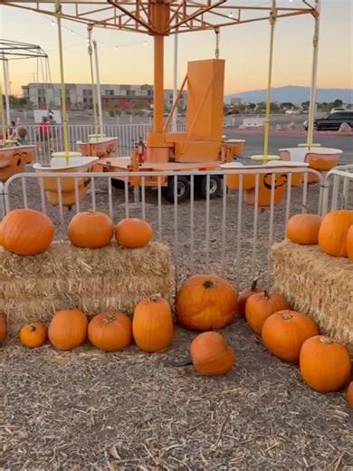 Life As We Gomez | Chelsea Gomez on Instagram: "Halloween Fall fun starts NOW 🍂🤎🎃 We finally made it to the pumpkin patch for our annual October tradition! 🧡 This year did NOT disappoint! We had SO many laughs, and even got to meet some of YOU at the patch! 🫶 🎥 It all goes down in tomorrow’s YouTube vlog ▶️ SUBSCRIBE and FOLLOW! 💬👇 What’s your favorite fall tradition?? #lifeaswegomez #familyfun #pumpkinpatch #fall #spookyseason #fam