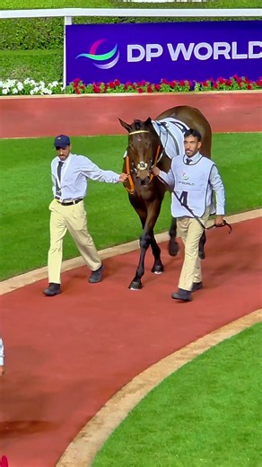 Explore Dubai Racing Club at Meydan