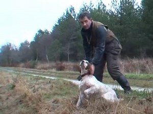 Des chiens d'arrêt lors d'un field trial sur bécasse (vidéo)