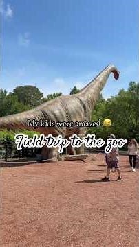 Day in the Life of a 1st Grade Teacher | Zoo Field Trip Vlog