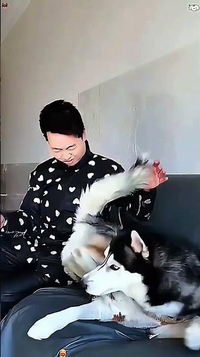 When you tickle your dog 😂#funny #doggielife #funnypets #happy #funnyanimals #happyanimals