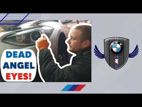 BMW M135i 2013 Headlight Condensation Fix & TMS Module Wiring Repair