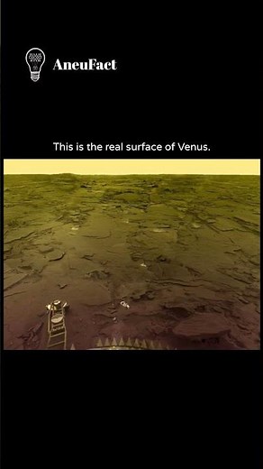 Real surface of Venus.