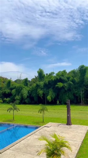 Suasana sejuk kolam renang, tempat yang sempurna untuk melepas penat dan menemukan ketenangan🍃🏊‍♂️ . 📍 Blok C, Kota Bukit Indah, Kalihurip Karawang 41373, West Java - Indonesia 🌐 www.pbka.pphotels.com . #weekend #weekendvibes #StaycationVibes #vacation #primeplazahotelsandresorts #primeplazahotels #primeplazaresorts #prime #primeplazahotels #HotelRelaxation#fbfm #SimpleLuxury #CozyRetreat #relaxationgoals #PrimebizHotelKarawang #UnforgettableStay #LuxuryHospitality #HeartwarmingHospitality #