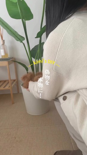 フェイクグリーンのあるインテリアコーディネートのアイデア