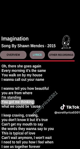 Imagination — Shawn Mendes (Lyrics)