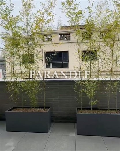 🌳[PARANDLE]테라스조경|기와진회색플렌터|플렌테리어|대나무식재|차폐식재