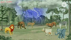 Miro story على TikTok