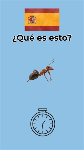 How to say butterfly, ant and other insects in Spanish