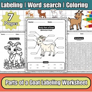 Goat Anatomy Worksheets | Goat Body Parts, Labeling, Word Search, Coloring (PDF) - Etsy