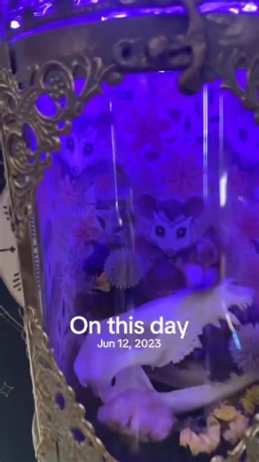 15K views · 292 reactions | Such a beautiful creation and way to honor the opossum skull found in our woods珞 I can’t believe it’s been 2 years since I made this one | Linus & Co. | Facebook