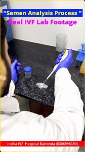 How Semen Analysis is Done in IVF #ivf #ivfprocess #indiraivf #indiraivfbathinda #ivfawareness In this video, we take you inside the IVF laboratory to show the detailed step-by-step process of performing a semen analysis. Semen analysis is one of the most important diagnostic tests in male fertility evaluation. It helps assess sperm count, motility, morphology, and overall sperm health. Watch as we walk through the proper collection procedure, liquefaction, microscopic examination, and how lab t