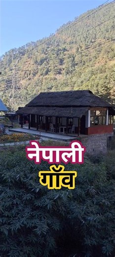 Nepali Village View 🇳🇵 #ytshorts #nepal #village