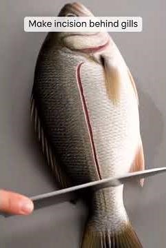 Easy Fish Filleting Tutorial 🐟 Step-by-Step Clean Fillets With Knife Cues & Close-Up Visuals