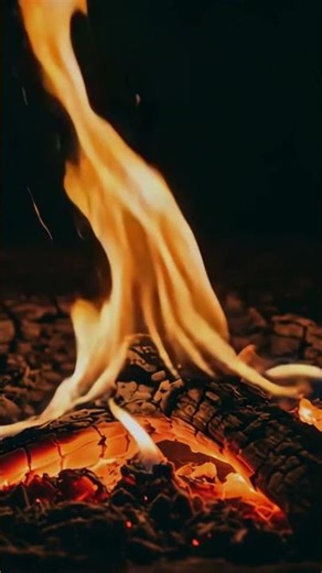 Nature's quiet lullaby · Campfire & Crickets