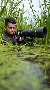 Happy World Photography Day Everyone !📸 ❤️ | “Photography is a way of feeling, of touching, of loving What you have caught on film is captured forever It remembers little things, long after you have forgotten everything Happy #worldphotographyday “ | Thank you everyone for inspiring me with your love and support. I could not have gone to such a good place without yours support. Hopefully in the future yours will support me in this way. Many thanks to @nikonindiaofficial/ @nikonasia team for lov