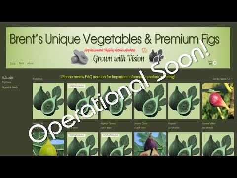 My New Fig & Vegetable Website is Coming Soon...