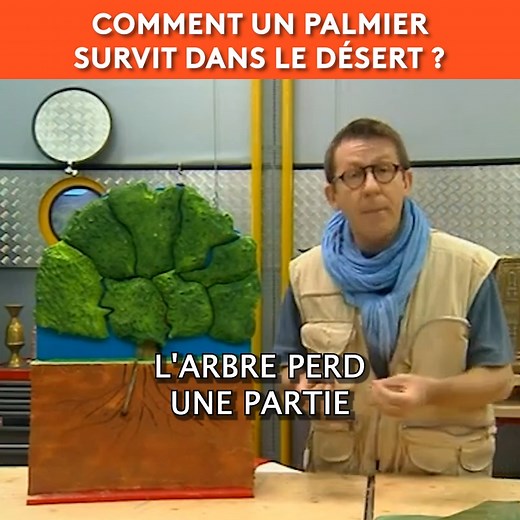 Le secret du palmier pour survivre au désert ! #Jamy #cestpassorcier « C’est pas sorcier », le magazine de la science et de la découverte présenté par Fred, Jamy et Sabine. A bord de leur camion laboratoire, les trois présentateurs nous emmènent vers des sites insolites et spectaculaires pour nous expliquer le monde qui nous entoure. Retrouvez les émissions sur : https://www.youtube.com/user/cestpassorcierftv Suivez-nous sur Facebook https://www.facebook.com/cestpassorcier/ | C'est pas sorcier