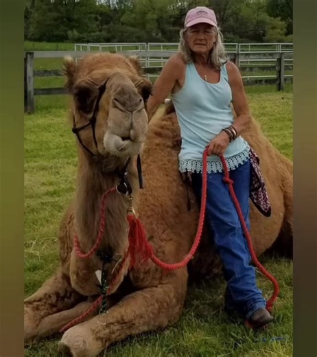 *I get swamped every spring, so be sure and PM me ASAP for 1st available openings, and any other info 🙏🥰 | Terri Bowen Lindley