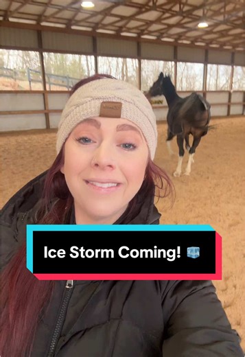 Prepare for the Ice Storm: Equestrian Tips and Tricks