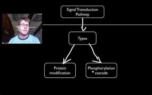 Signal Transduction Pathways_Bozeman Science