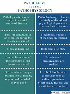 Diferencias entre etiología y patología - SALUD 2026