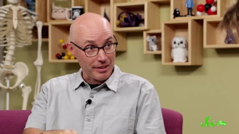 Cicada symbiosis | SciShow Talk Show