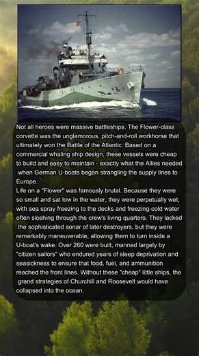 LETHAL POWER OF THE FLOWER-CLASS 🌊