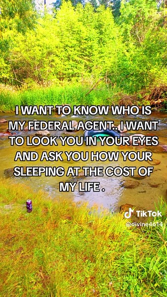 Understanding Targeted Individuals and Their Experiences