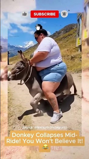 Watch This: Donkey Ride Goes Wrong, Fast! 🐴⬇️ #Viral #Accident