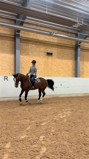 Superfin Vicksi när vi markarbetade igår!🤩 Vi körde bommar på volt & små kryss så att man ska landa i rätt gallopp utan att öka farten & även hålla samma rytm hela tiden! 💕 ~~~~~~~~~~~~~~~~~~~~~~~~~~ #foryou #horses #bästärminhäst #vickan #fyp