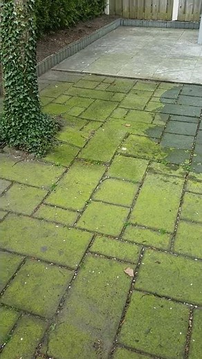 1. Groene aanslag verwijderen van terrastegels Dasty vs Schoonmaakazijn