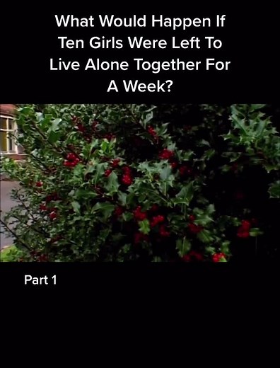 theartoftelevision on TikTok