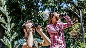 BARSKA Escape Porro 10-30x60 Zoom Binoculars (Green Lens) (AB11050) , Black