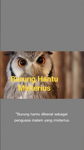 Burung Hantu: Penguasa Malam yang Misterius