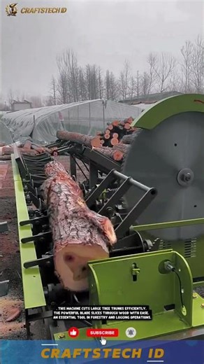 ⚙️ High Power Tree Cutting Mahine for Fast and Efficient Timber Processing ⚙️ #Chainsaw #TimberWork