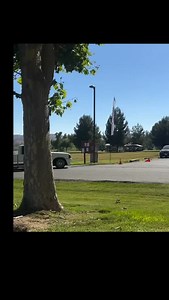 244 reactions · 22 shares | MiniTruck Era Magazine on Reels | Facebook