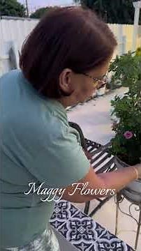 The Secret to Reviving Mini Roses